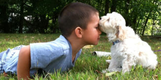 Gavin and Shaemus